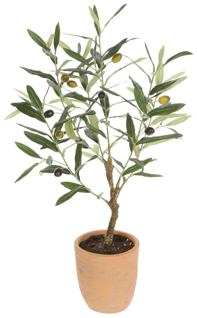 Faux Olive Tree In Ceramic Pot-Open Box