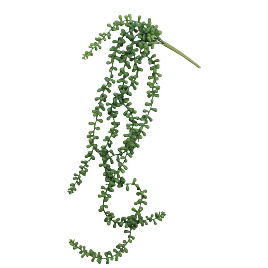 Artificial Necklace Fern Succulent