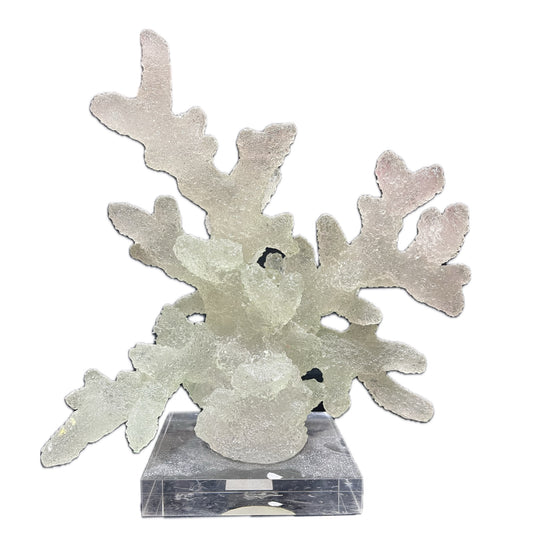 Textured Coral Like Cluster