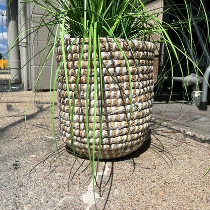 Medium Woven Basket Floor Plant