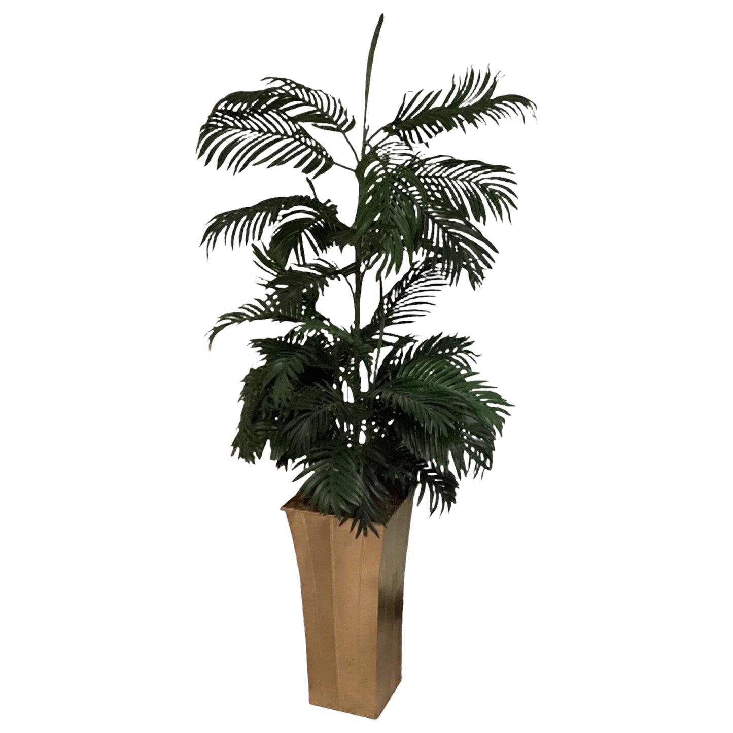 Large Floor Plant (72”H x 36”W)- Local Pick Up Only