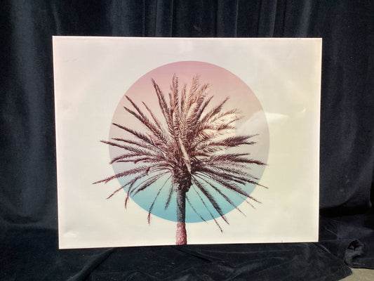 Cali Palm Tree-22"x28"- Open Box