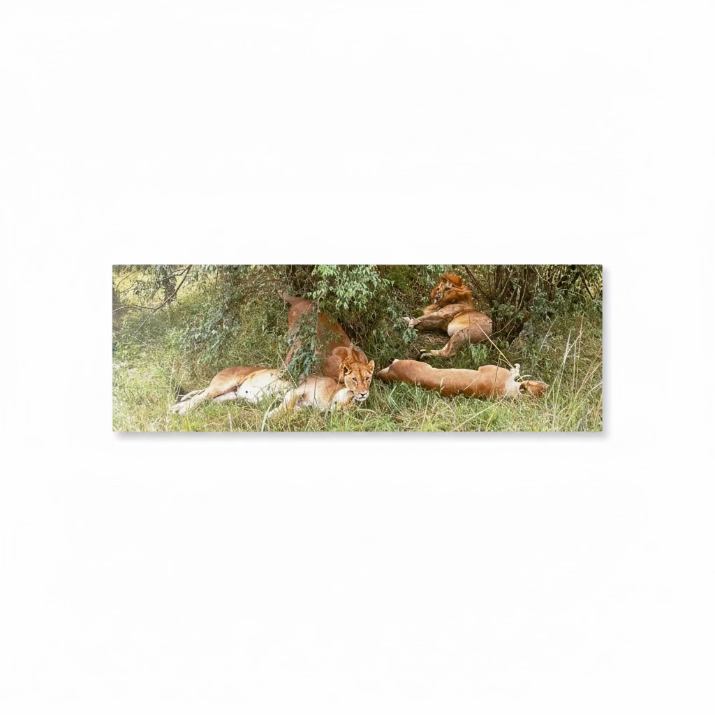 Pride of the Savannah: Metal Canvas Wall Art-Open Box