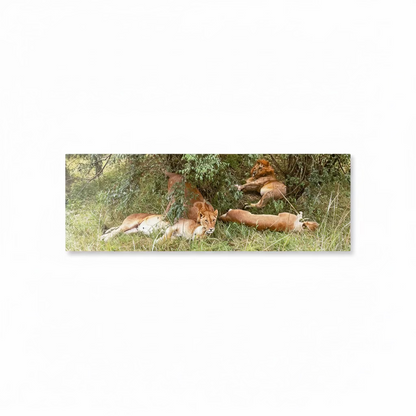 Pride of the Savannah: Metal Canvas Wall Art-Open Box