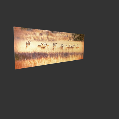 Golden Hour Deer Metal Canvas-Open Box