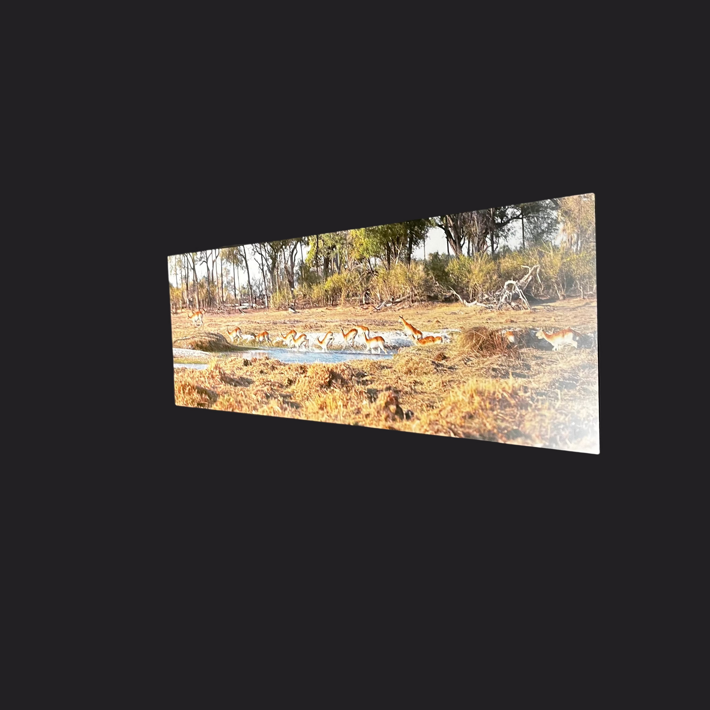 African Savannah Majesty: Metal Wall Art -OPEN BOX