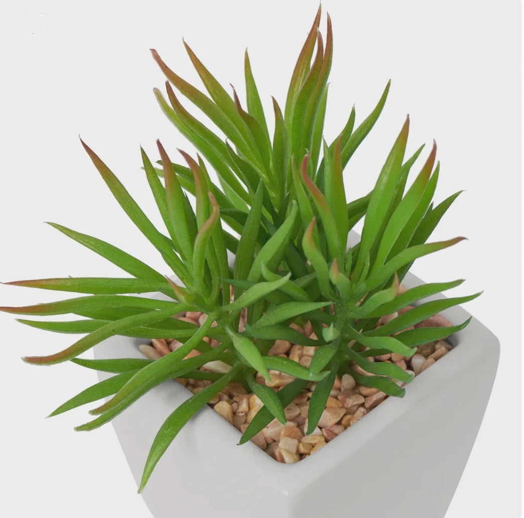 Tapered Mini faux succulent potted plant-spike open box-8151