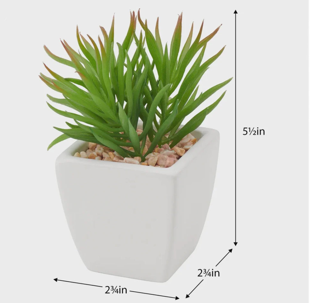 Tapered Mini faux succulent potted plant-spike open box-8151