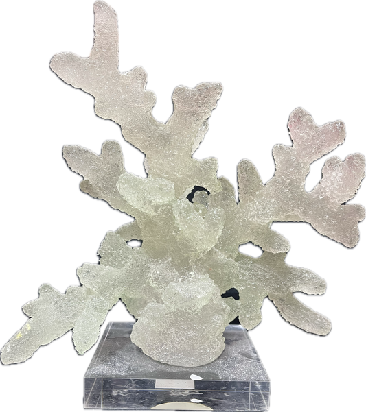 Textured Coral Like  Cluster