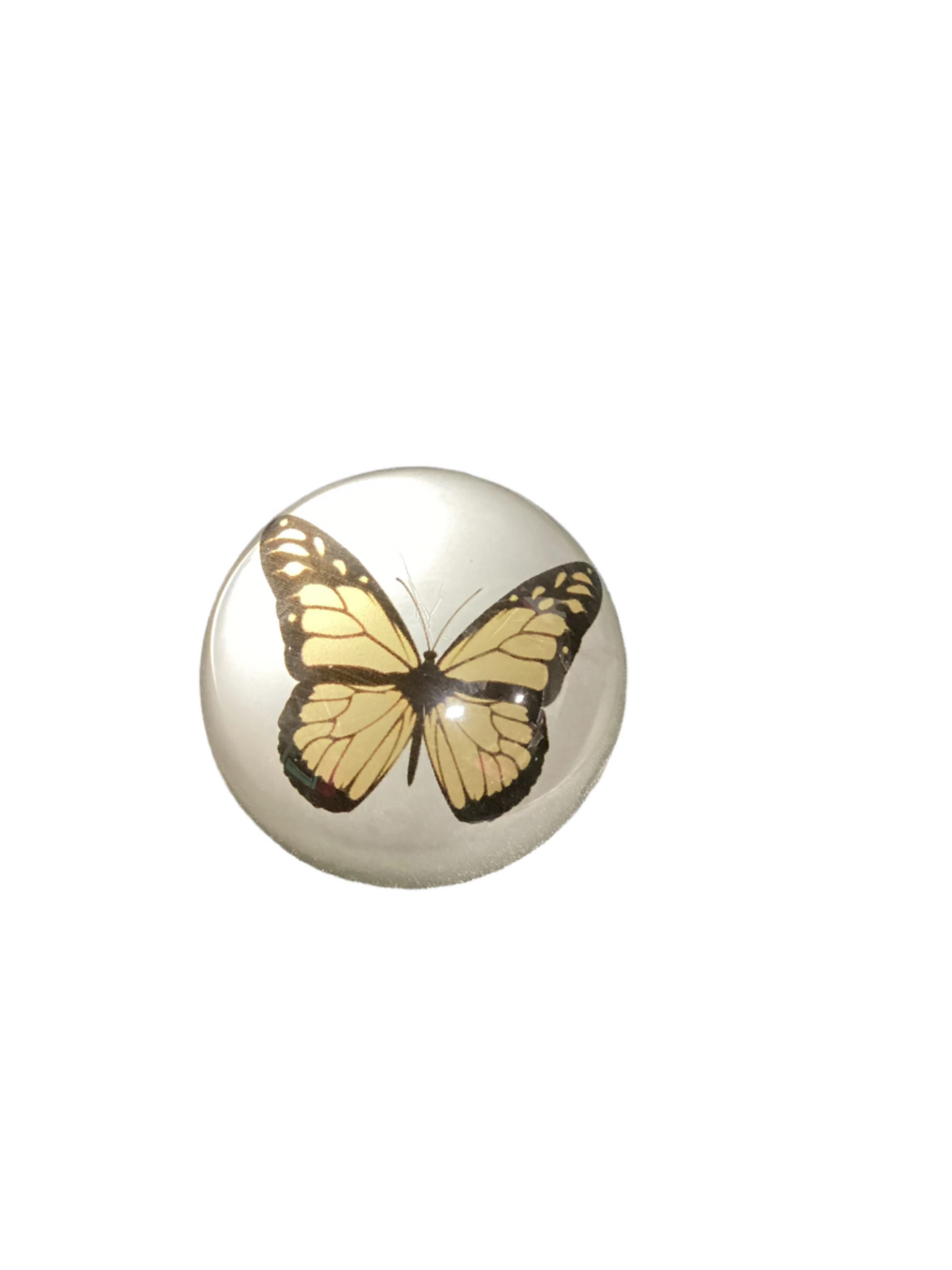 Butterfly paper weight