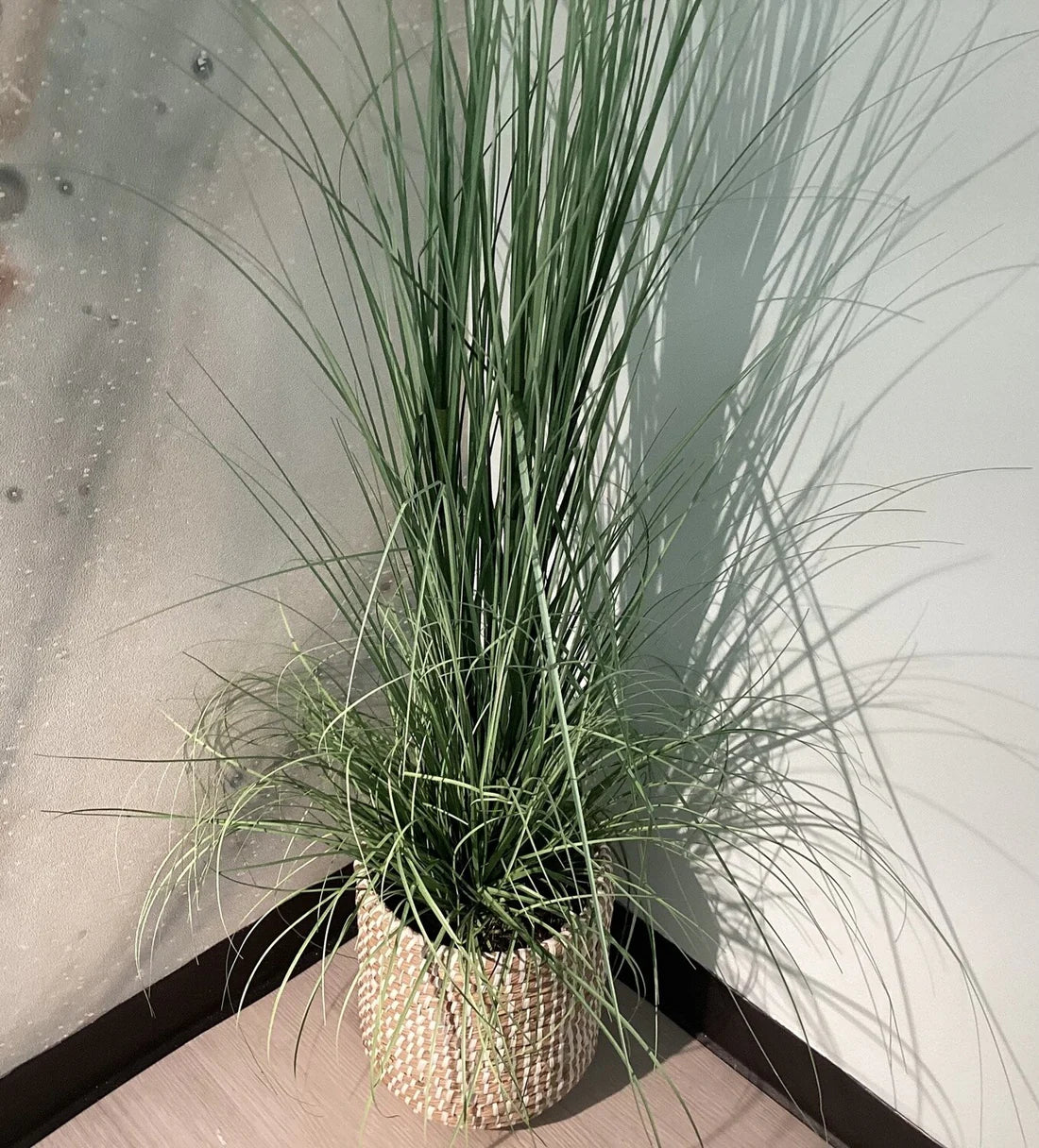 Medium Wicker Basket Floor Plant - Pleasant *OPEN BOX