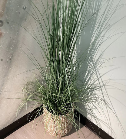 Medium Wicker Basket Floor Plant - Pleasant *OPEN BOX