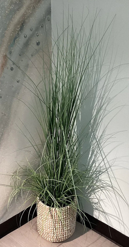 Medium Wicker Basket Floor Plant - Pleasant *OPEN BOX