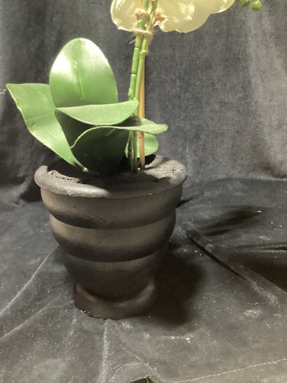 Faux White Orchid BLACK BASE-OPEN BOX
