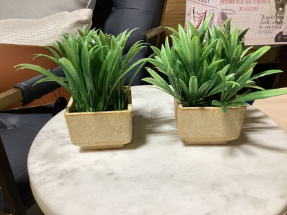 Small faux plant-8148
