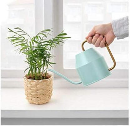 Mint Watering Can