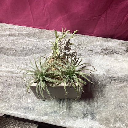 Pastel pink Triangle planter