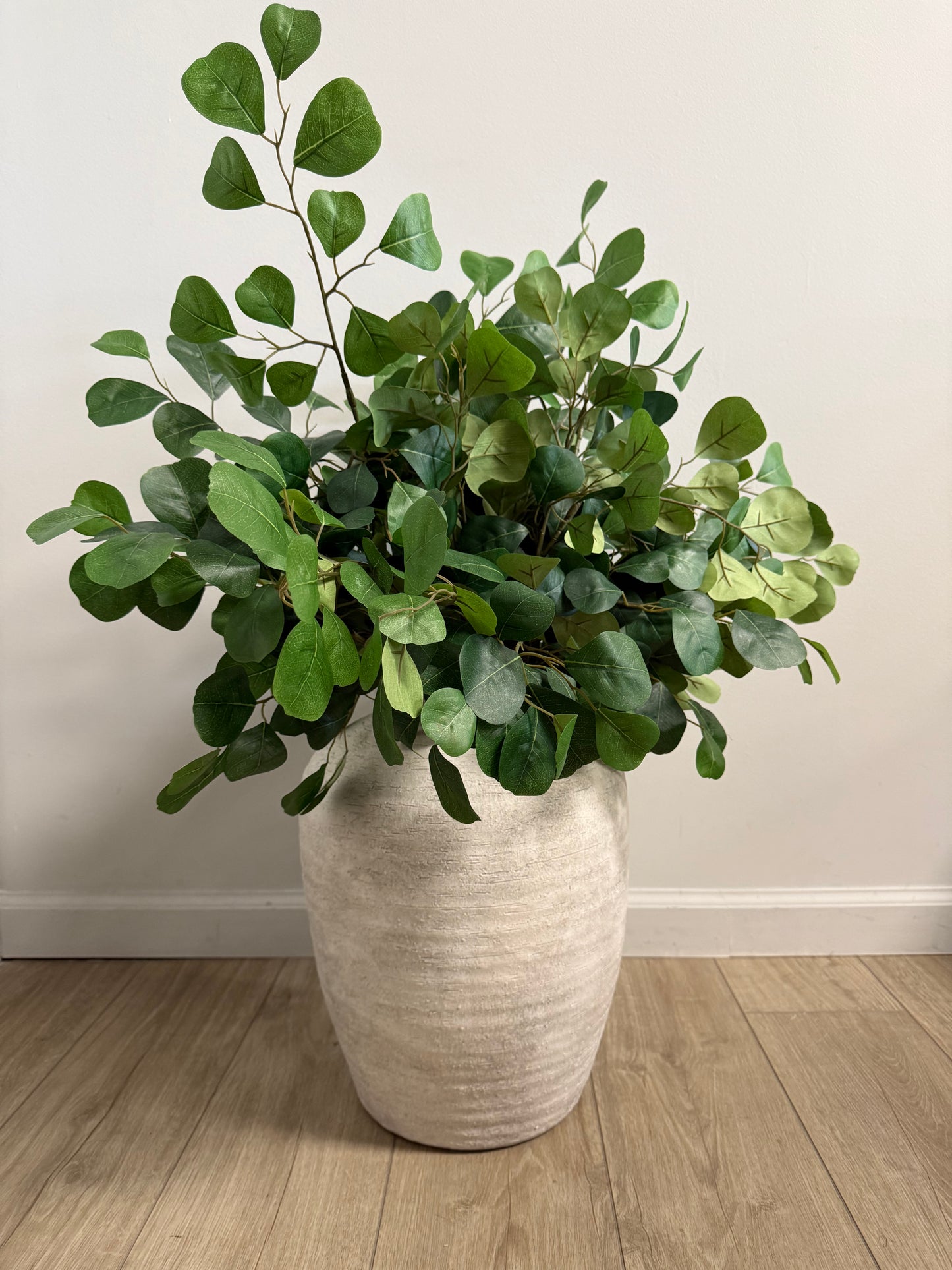 Eucalyptus Stem