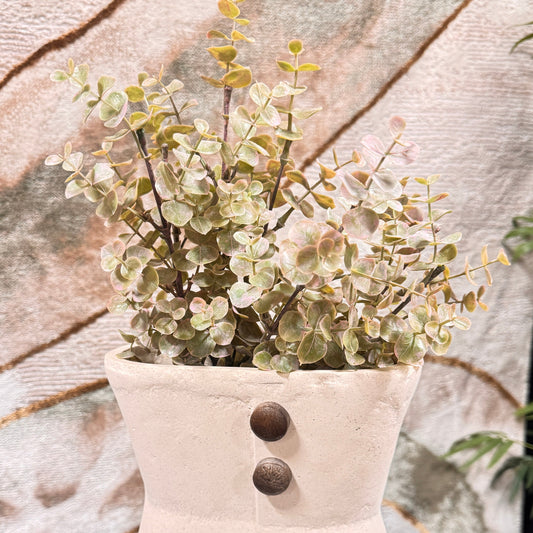 Pink Edge Eucalyptus Bush