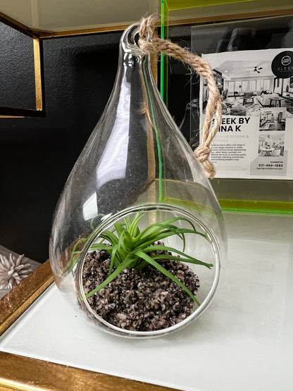 Teardrop Faux Succulent Plant-OPEN BOX