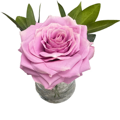 Single Lavender Rose in Water