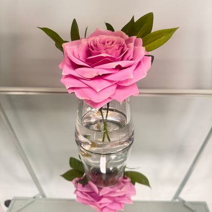 Single Lavender Rose in Water