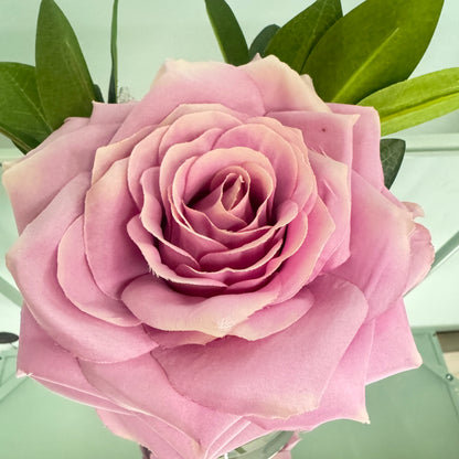 Single Lavender Rose in Water