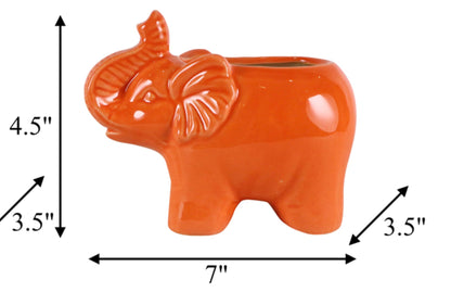 Elephant Citro Candle-Orange-8oz