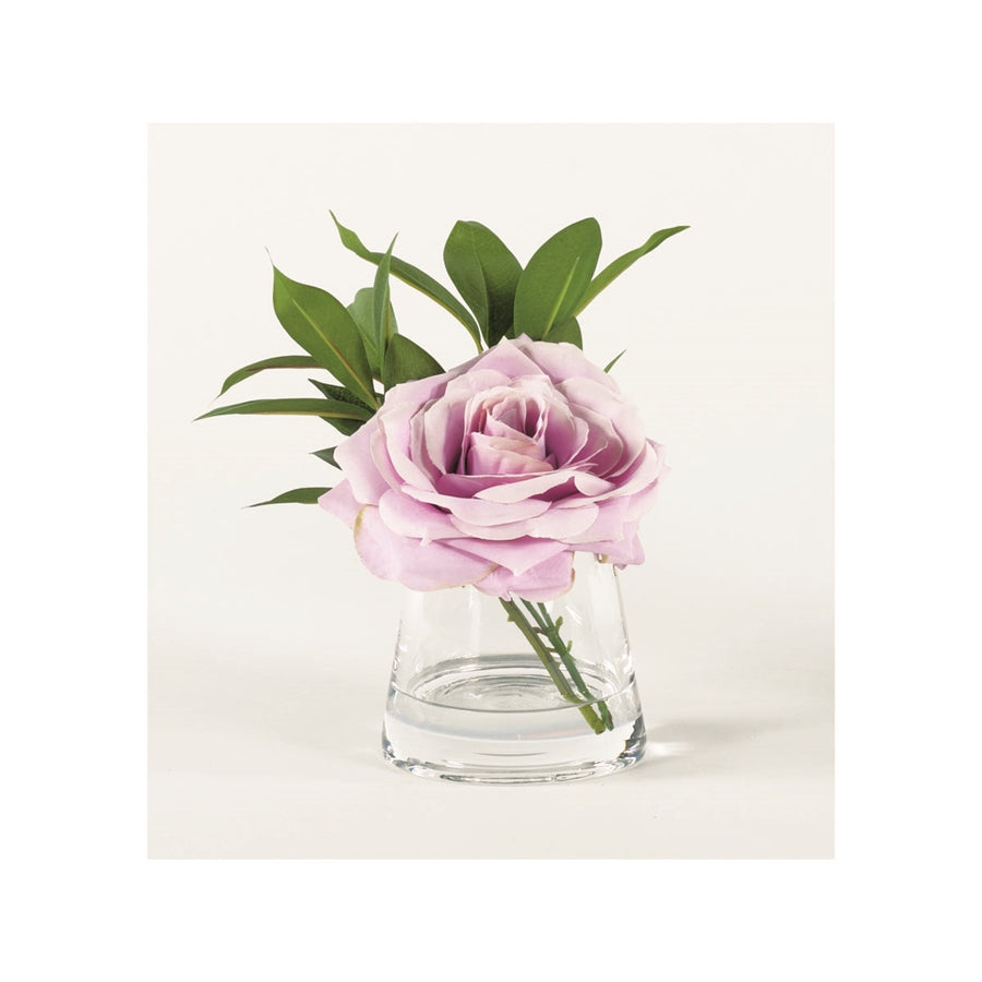 Single Lavender Rose in Water