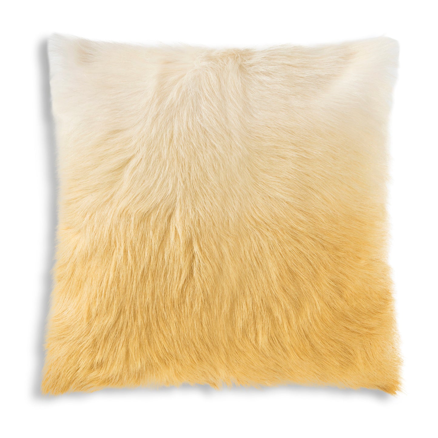 Lhasa Yellow Pillow 20X20