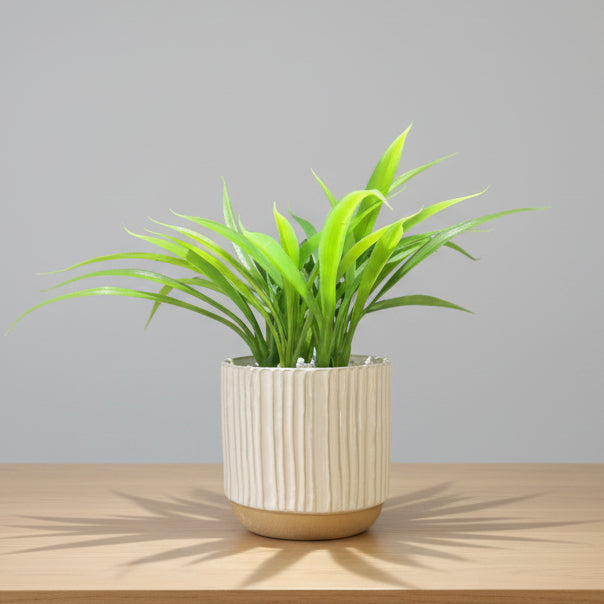 Potted plant with green leaves in a beige pot 