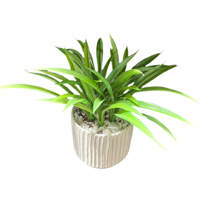 Potted plant with green leaves in a beige pot 