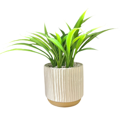Potted plant with green leaves in a beige pot 