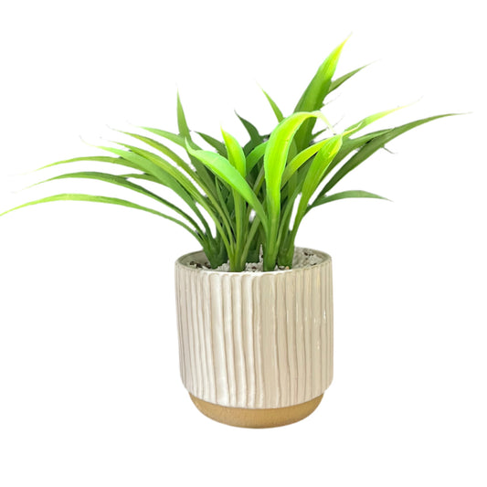 Potted plant with green leaves in a beige pot 