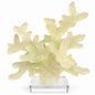 Faux Coral Sculpture