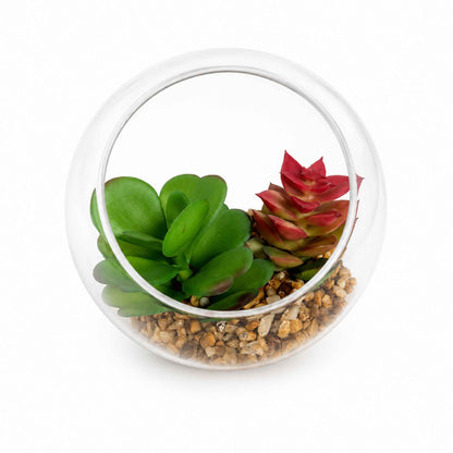 Glass terrarium with succulents