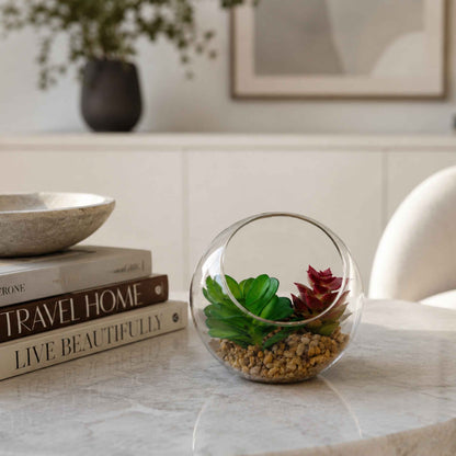 Glass terrarium with succulents on tabletop