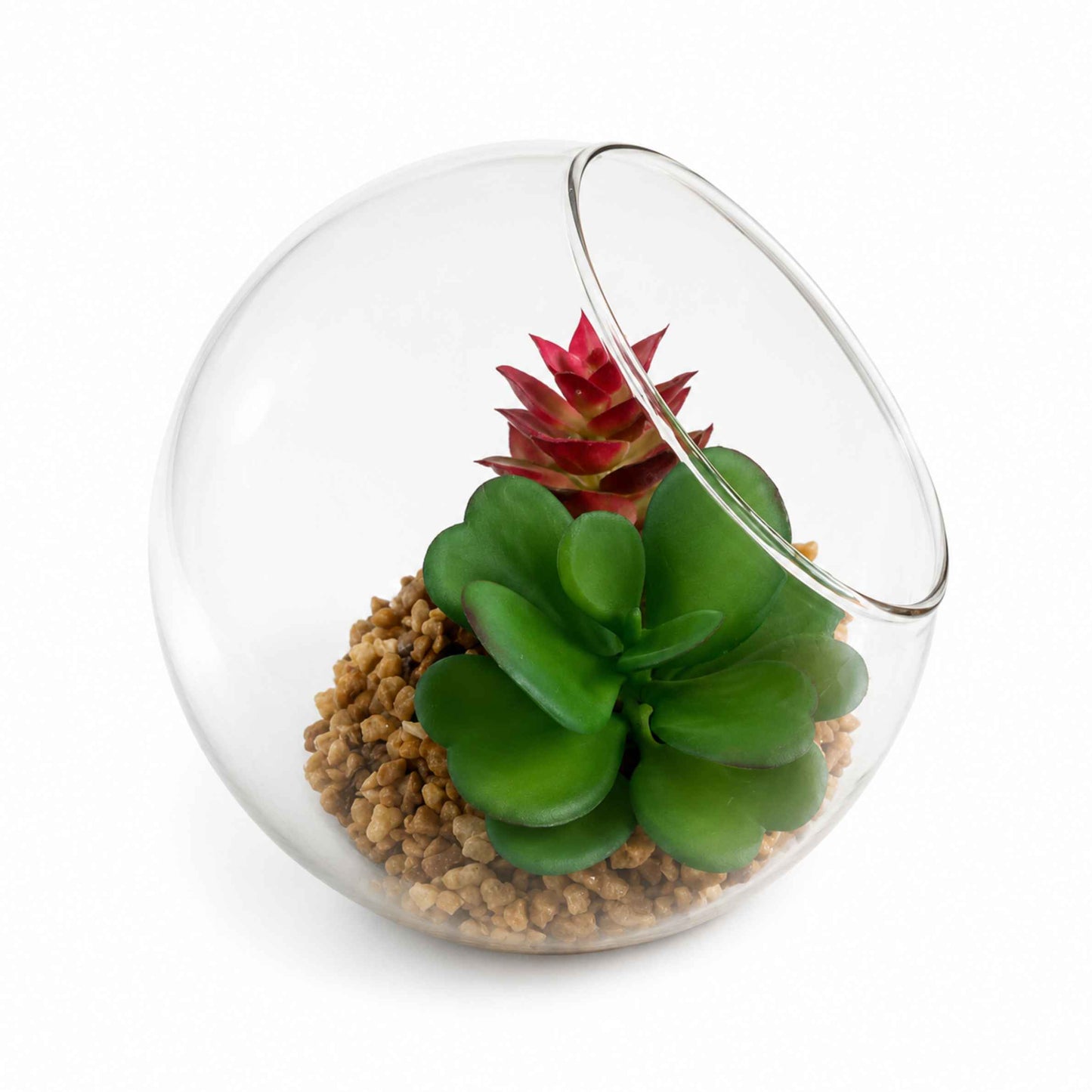 Glass terrarium with succulents