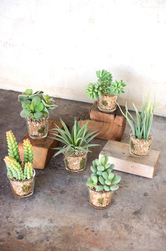 Artificial Succulents In Glass Containers