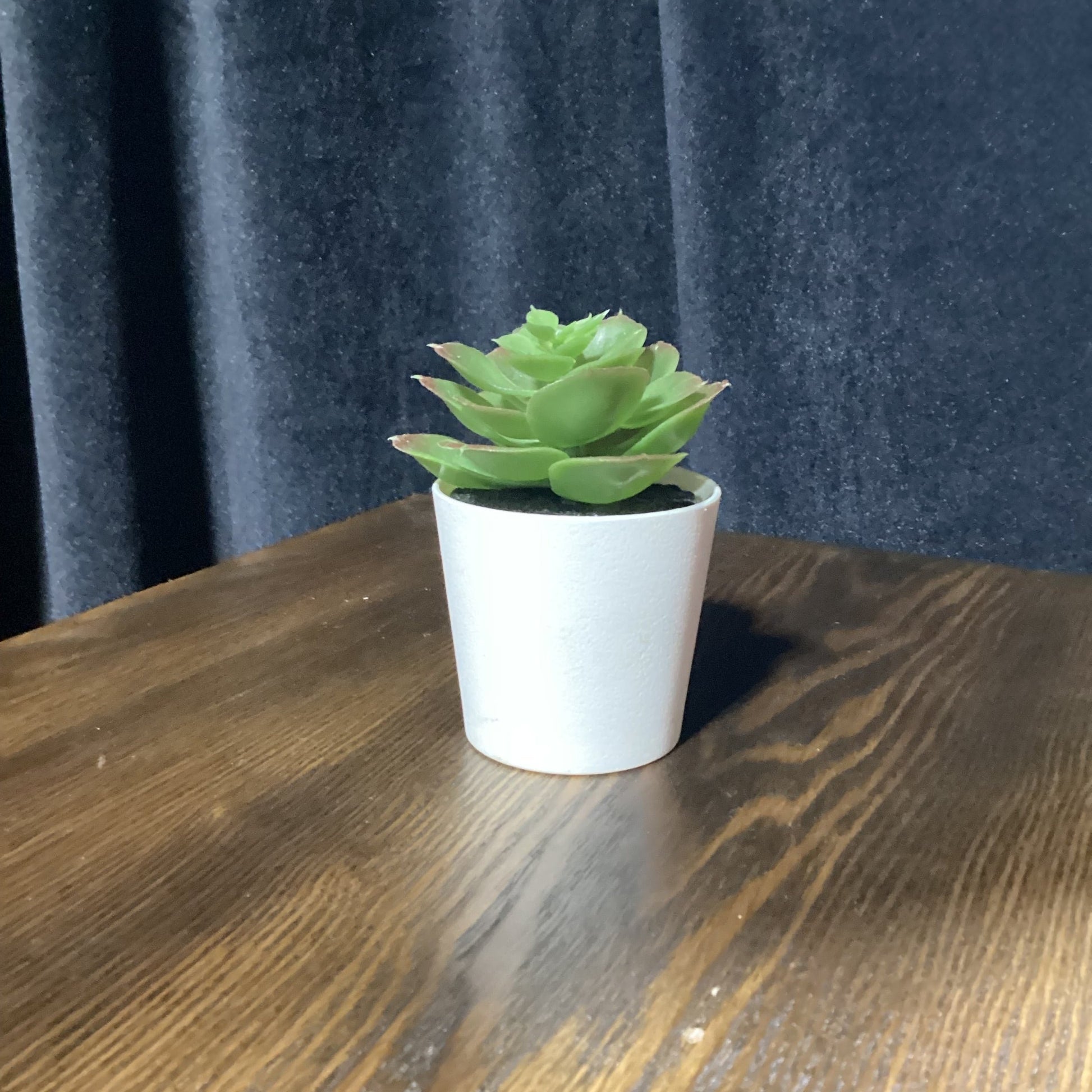 Small echeveria faux plant