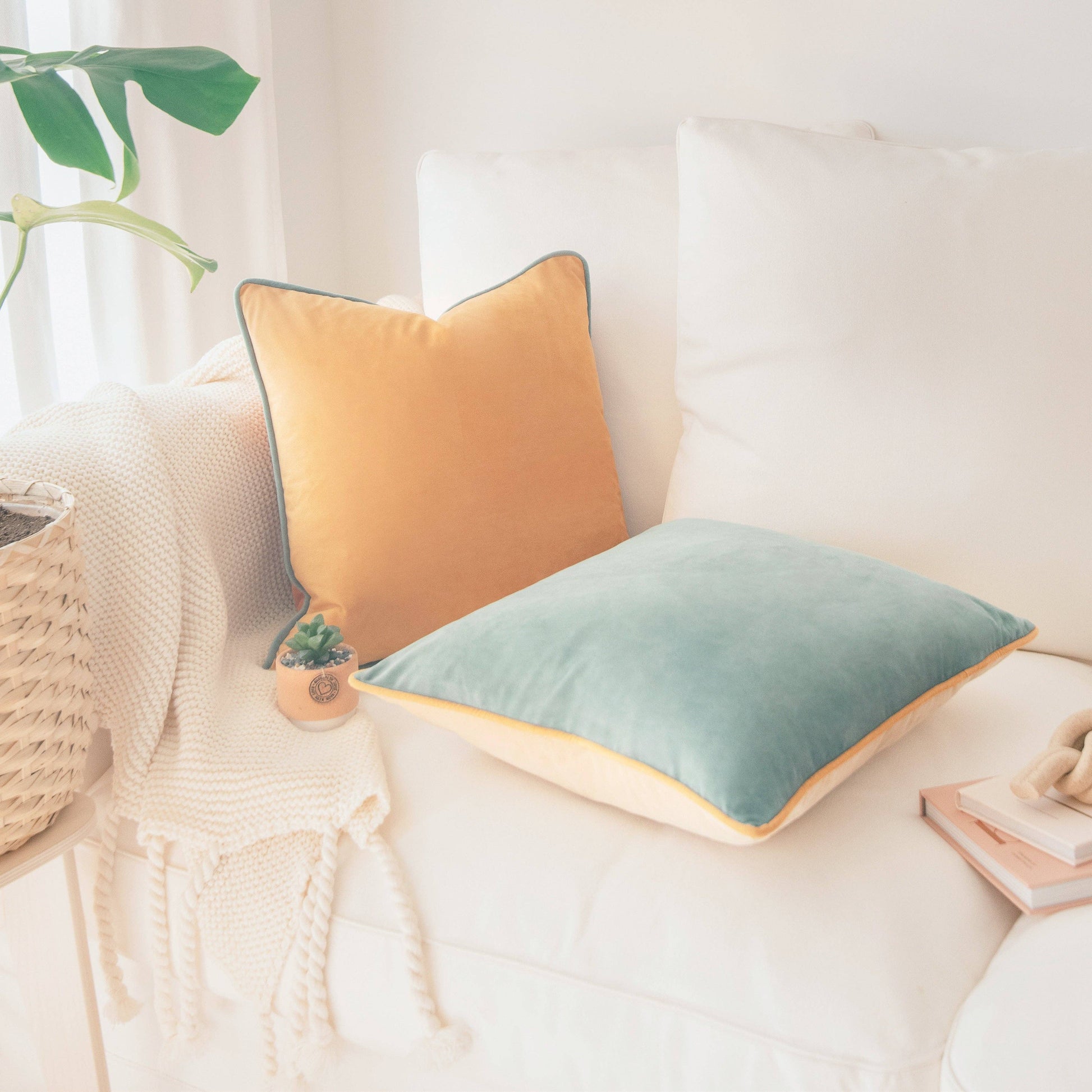 Two decorative pillows on a sofa with a plant and books in the background.