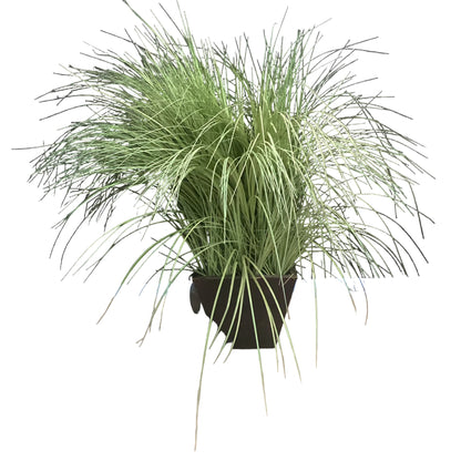 Faux Grass in Rustic Wood Planter