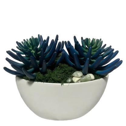 Blue/Green Succulent Garden