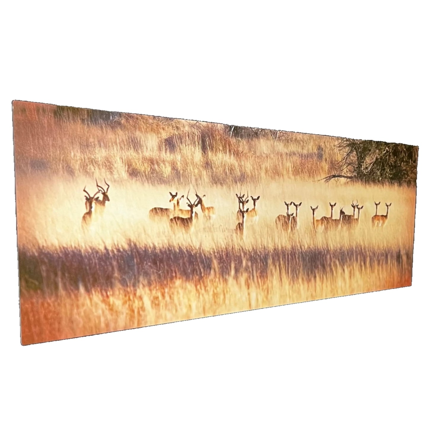 Golden Hour Deer Metal Canvas