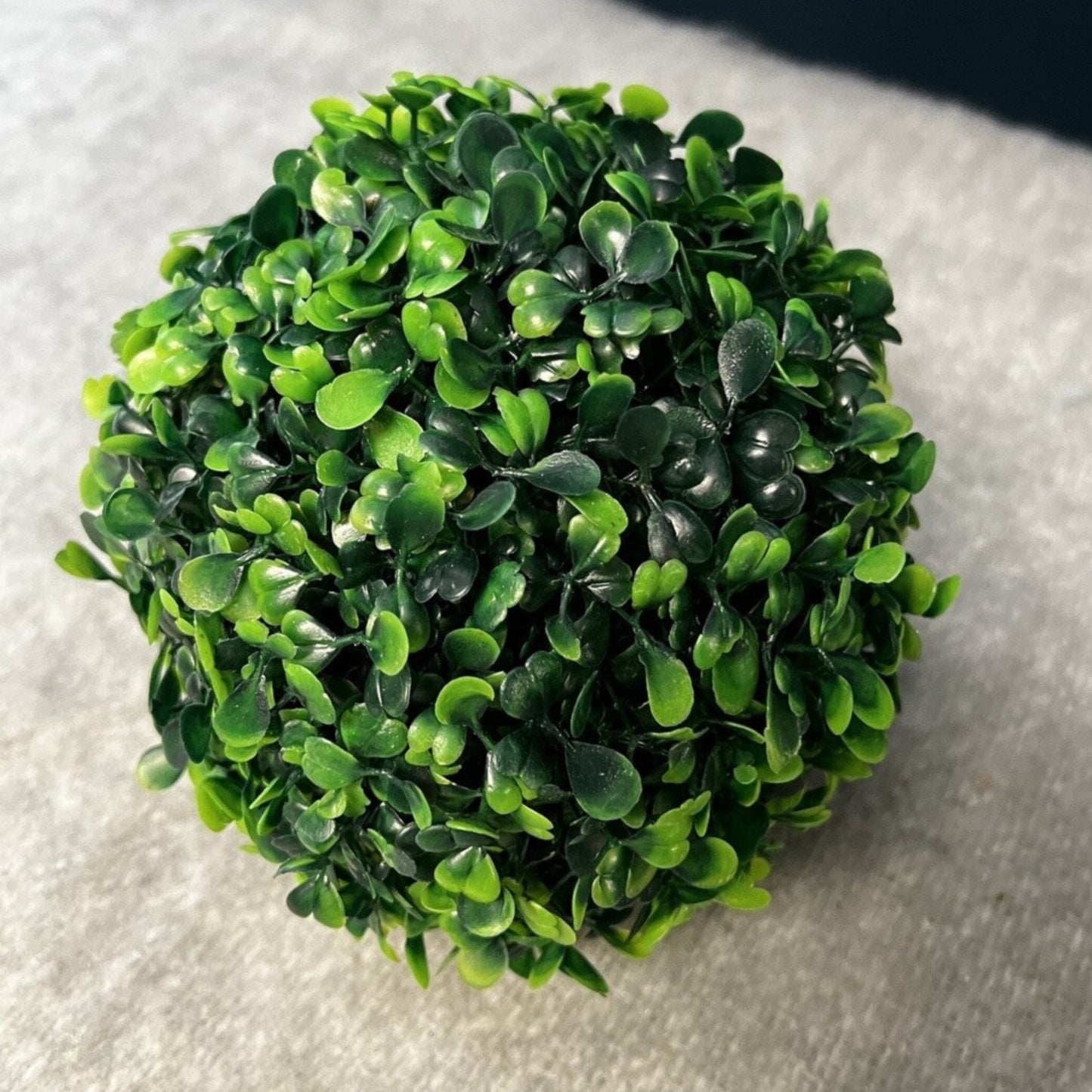 Green BoxWood Plant Decor
