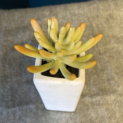 Faux Plant w/ White Vase