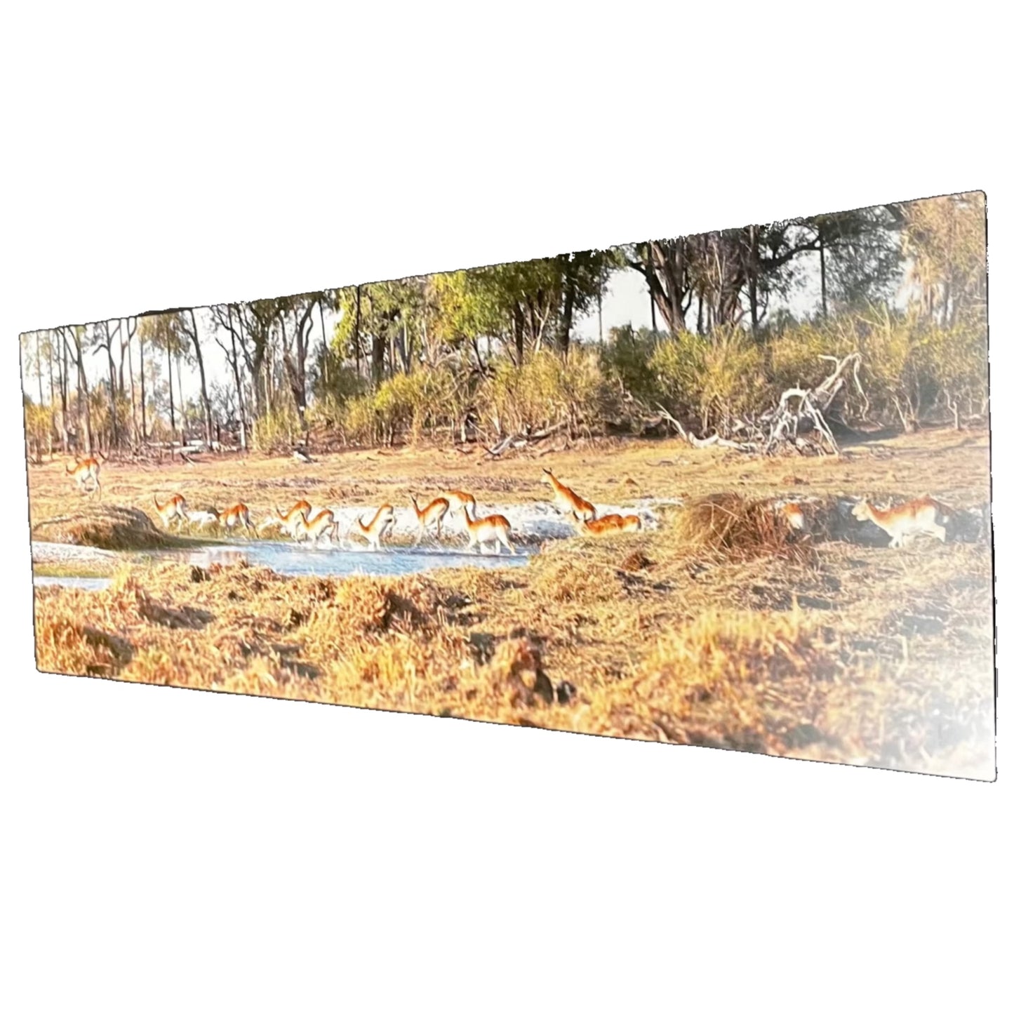 African Savannah Majesty: Metal Wall Art