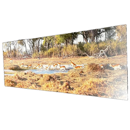 African Savannah Majesty: Metal Wall Art