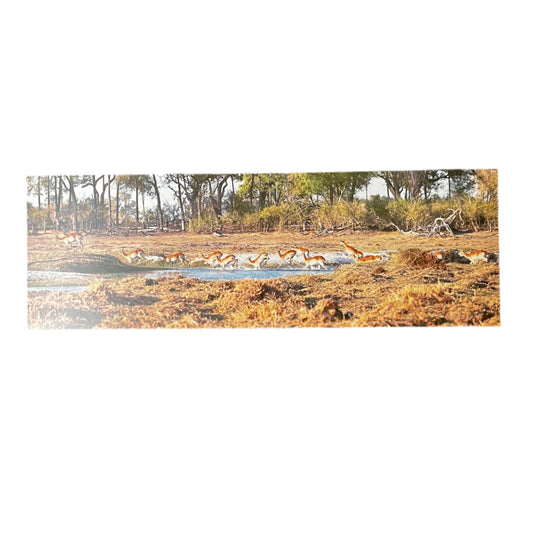 Deer near a water source in a natural setting with trees in the background