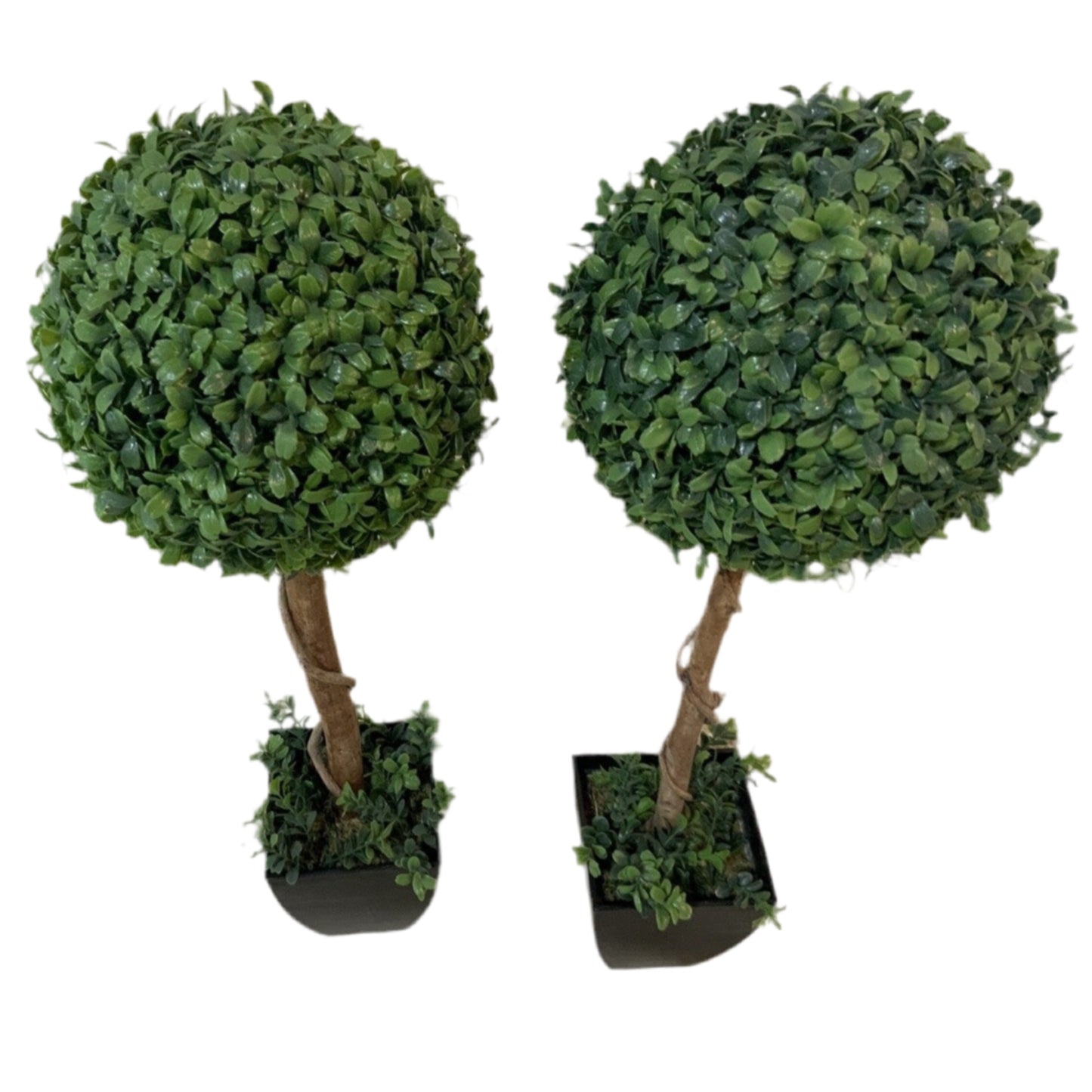 Faux Boxwood Topiary SET OF 2